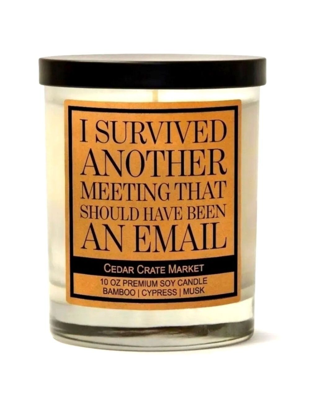 Humor Candles ~ I Survived Another Meeting